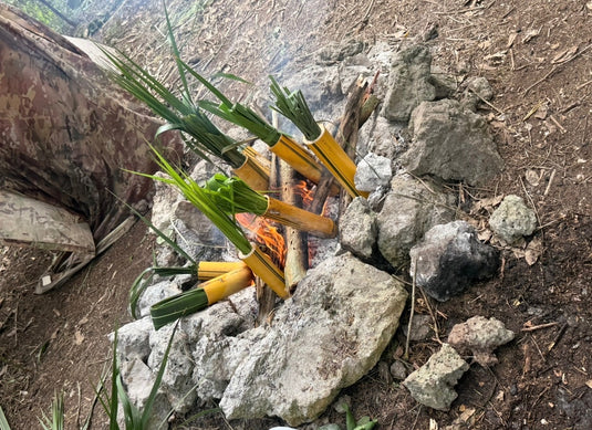 BUSHCRAFT 101 - Florida Everglades