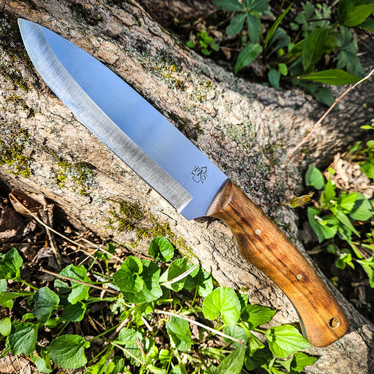 Mountain Lion (Satin)