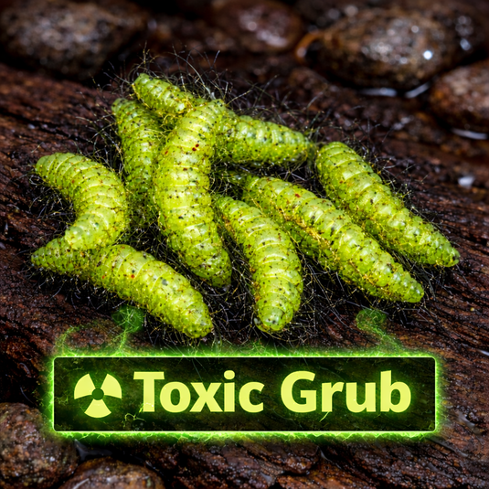 1" Hairy Waxworm "The Fuzz Grub" 8 Per Pack