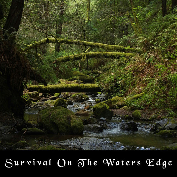 Survival on the Water’s Edge
