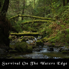 Survival on the Water’s Edge