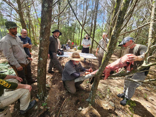 BUSHCRAFT 101 - Florida Everglades
