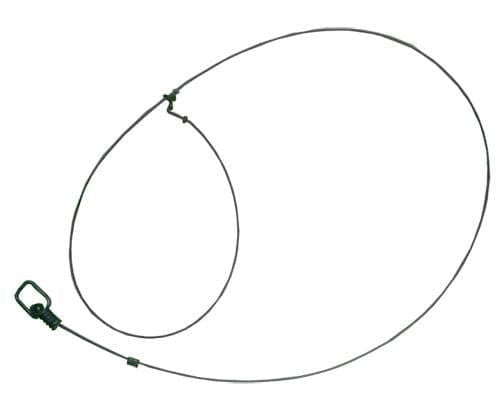 Bobcat snare (108608651265)